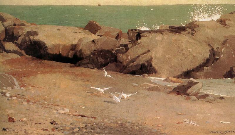 Winslow Homer Rocky shore and the seagulls oil painting picture